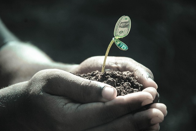 bitcoin_volatilidad_naturaleza